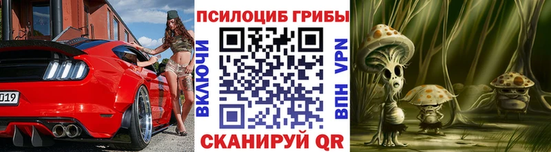 даркнет сайт  маркетплейс как зайти  Псилоцибиновые грибы GOLDEN TEACHER  Семикаракорск 