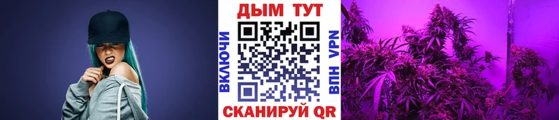 купить закладку  Семикаракорск  Бошки Шишки MAZAR 